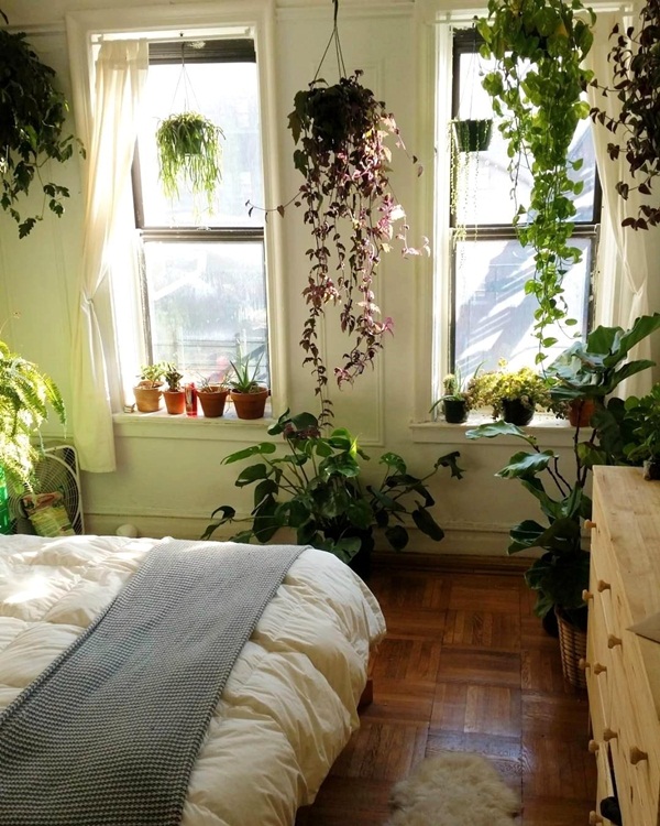 Cây trong phòng ngủ - Phần 1: nên trồng hay không và trồng như thế nào?
