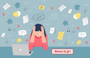Stress là gì?