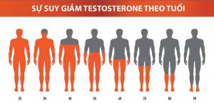 Mất cân bằng nội tiết làm suy giảm testosterone gây nguy cơ rụng tóc