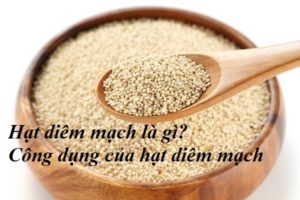 Hạt diêm mạch là gì? Công dụng của hạt diêm mạch