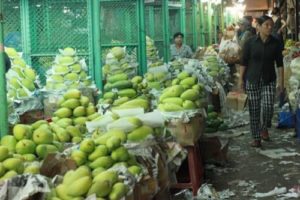 Trái cây Việt đang chiếm lĩnh thị trường.