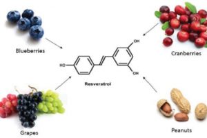 Resveratrol là gì? Lợi ích của Resveratrol đối với làn da