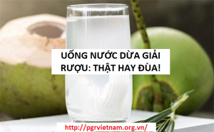 uống nước dừa giải rượu