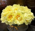 hoa-mau-don-mau-vang