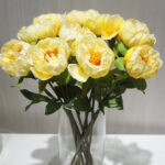 hoa mẫu đơn vàng hoa mẫu đơn vàng