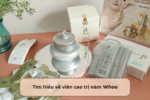 Tìm hiểu về viên cao trị nám Whoo