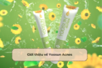 Giới thiệu về Yoosun Acnes