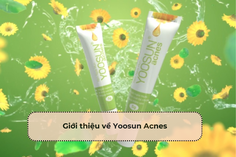 Giới thiệu về Yoosun Acnes