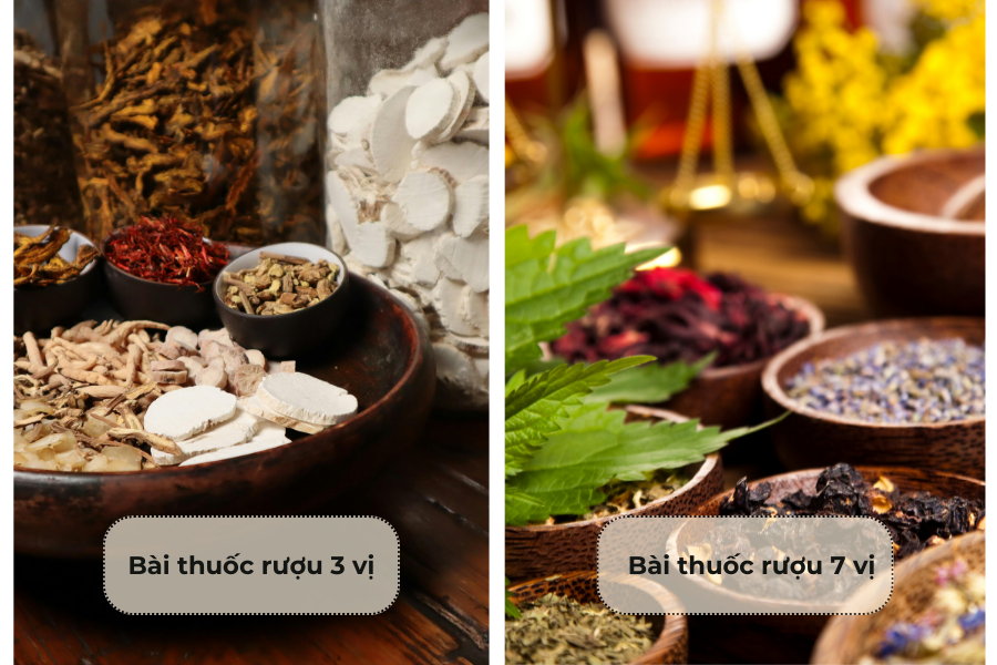 Bài thuốc ngâm rượu hiệu quả