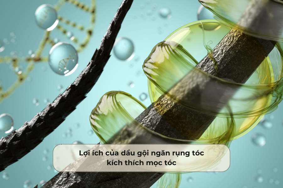 Lợi ích của dầu gội ngăn rụng tóc kích thích mọc tóc