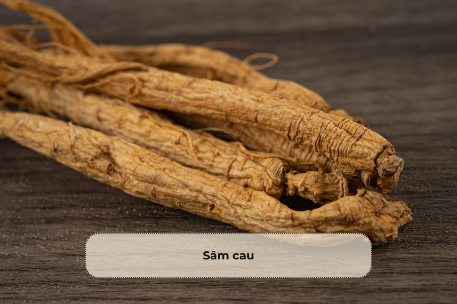 Sâm cau