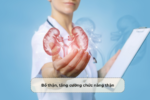 Bổ thận, tăng cường chức năng thận