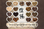 Các loại cây ngâm rượu bổ thận tráng dương