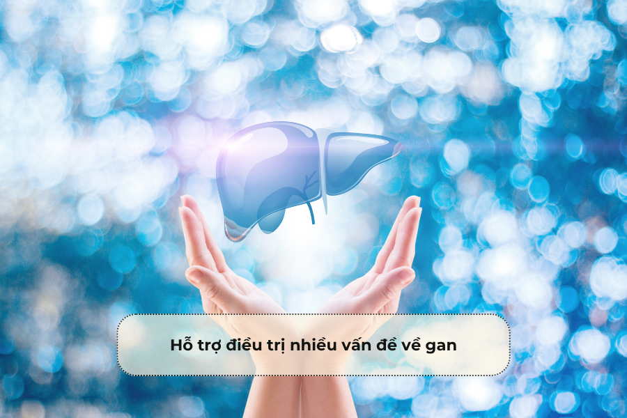 Hỗ trợ điều trị nhiều vấn đề về gan