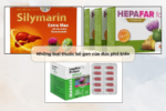 Những loại thuốc bổ gan của đức phổ biến