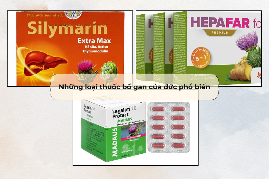 Những loại thuốc bổ gan của đức phổ biến